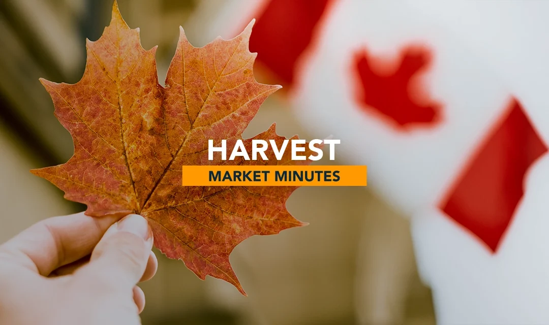 Built Canada Strong: Harvest Canadian Income ETFs | Harvest Market Minutes