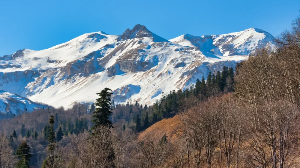 Harvest High Income Shares Distributions