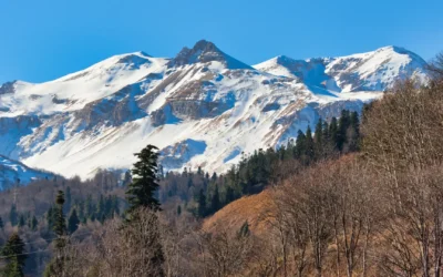 Harvest High Income Shares ETFs Announces November 2025 Distributions