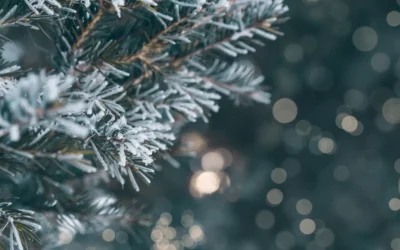 Harvest High Income Shares ETFs Announces December 2025 Distributions