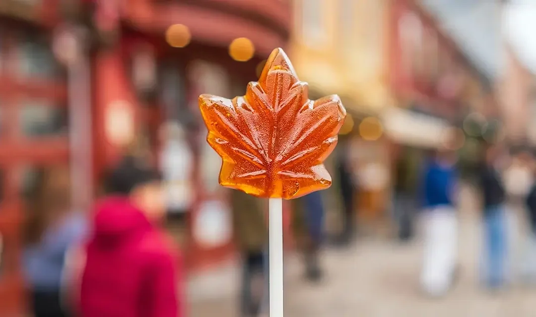 The Case for Canada in 2026 | Investing in ETFs for the Future