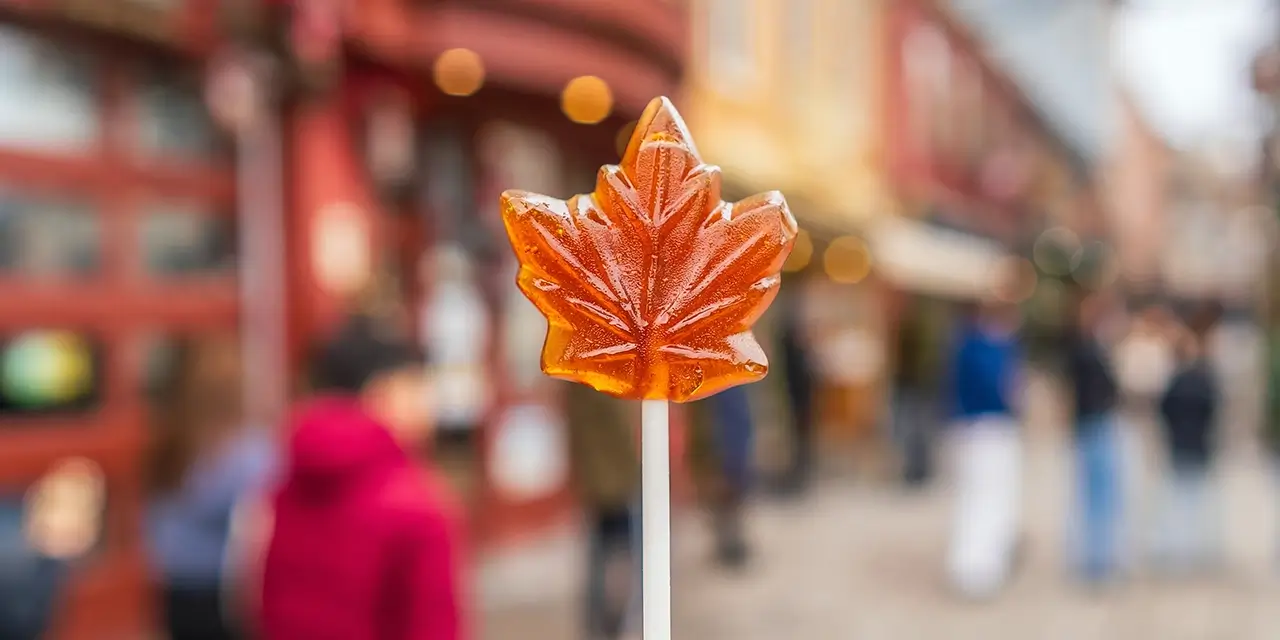 Springtime in Canada | Investing in ETFs for the Future