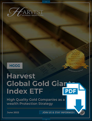 HGGG Investor Brochure